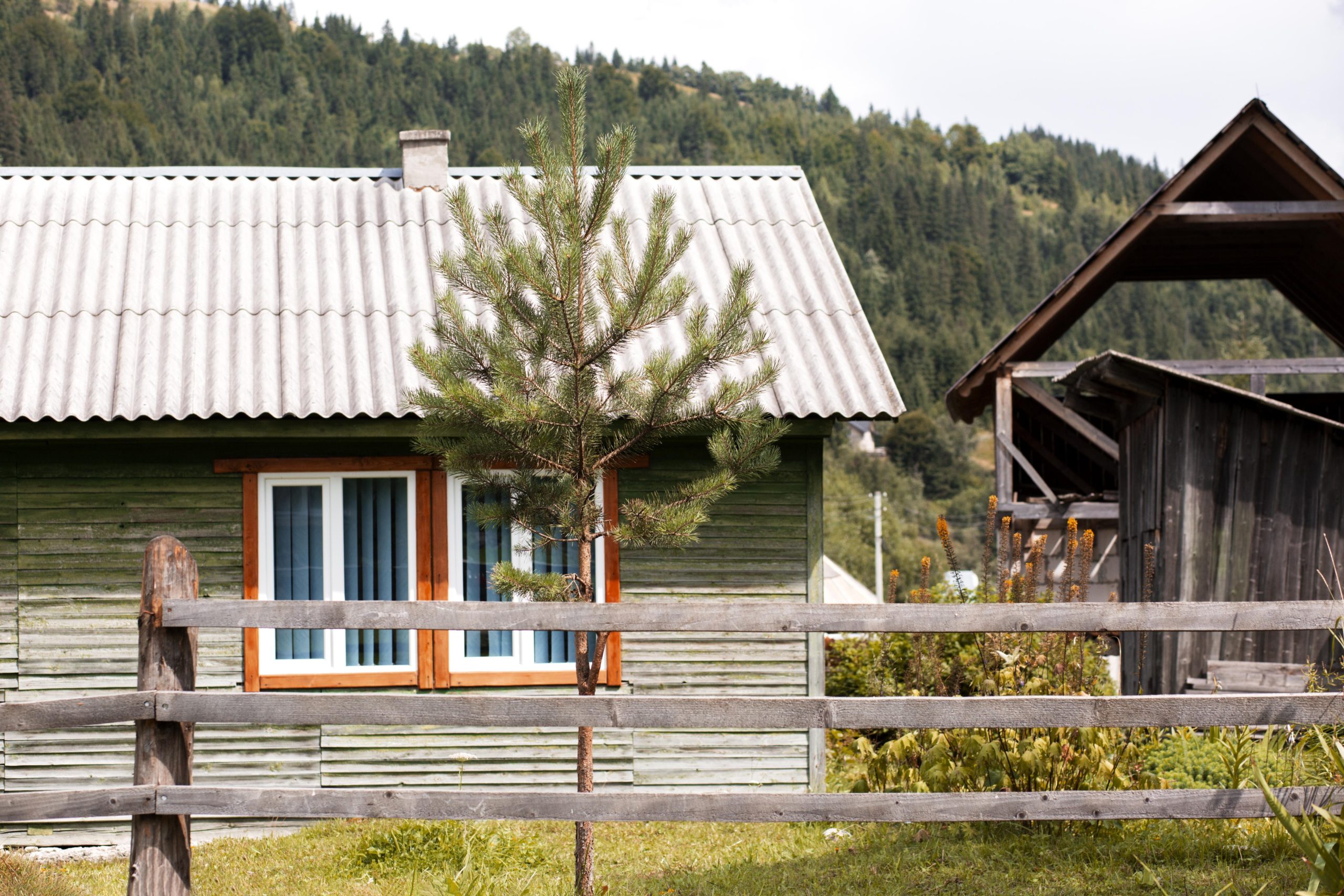 rural-house-surroundings-daylight